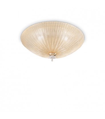 SHELL PL6 AMBRA